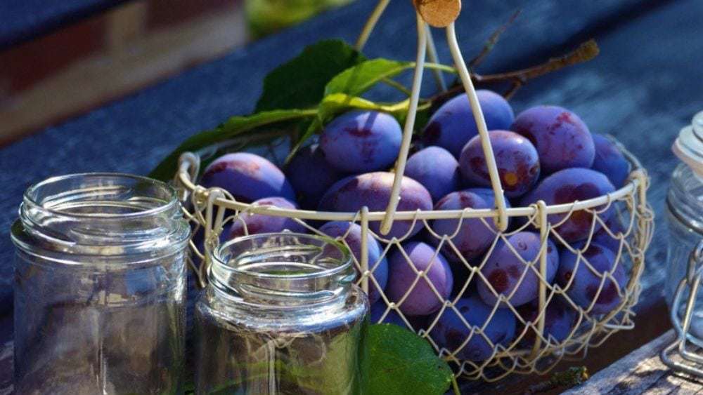 Les bienfaits de la prune pour la digestion