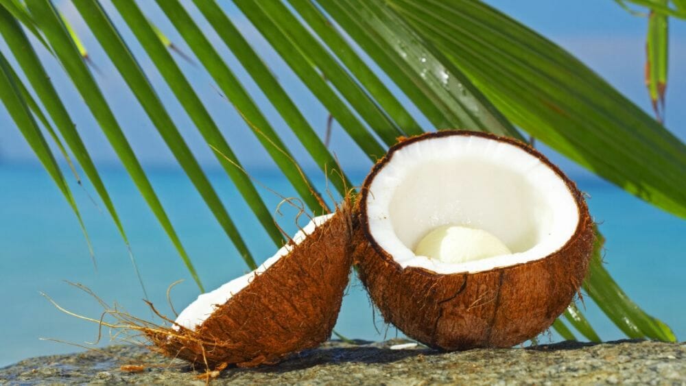Les Bienfaits De La Noix De Coco Pour La Mémoire