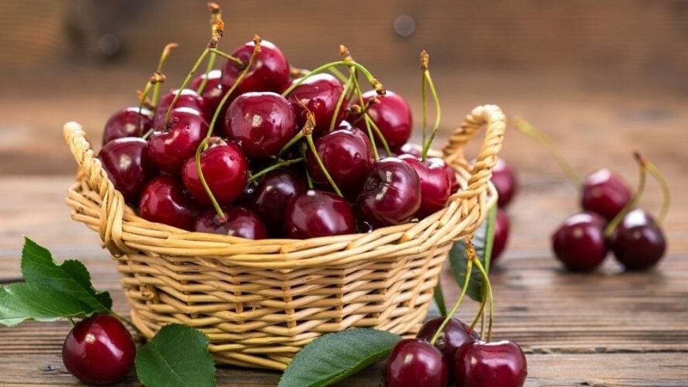 Top 10 des fruits rouges 1 cerise fruits du printemps, liste des fruits rouges