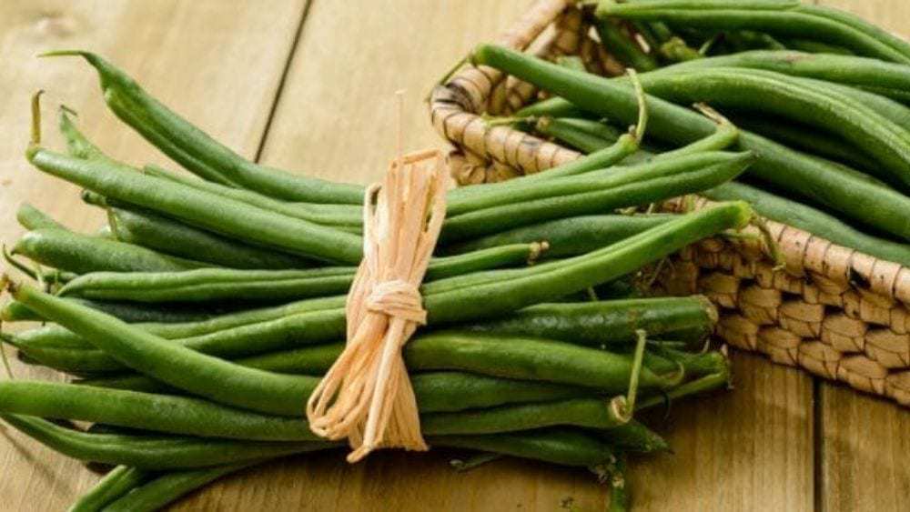 Les bienfaits du haricot vert pour la santé des os Actinutrition