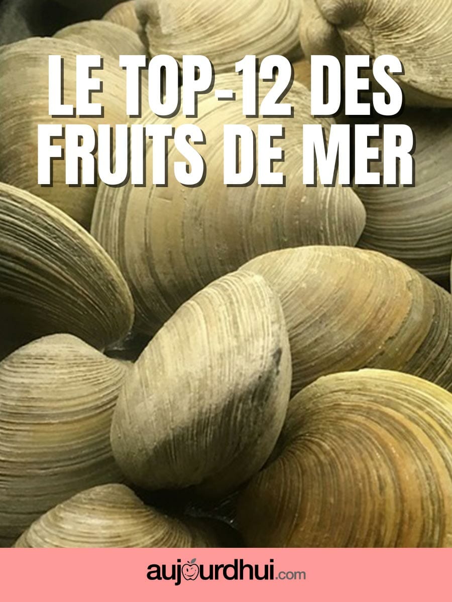 Photos Et Noms Des Fruits De Mer Top 12 des fruits de mer | Aujourdhui.com